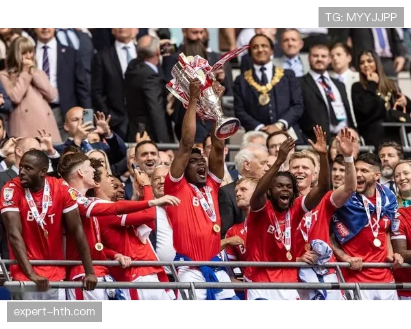 诺维奇重返英超,团队协作与战术革新成关键